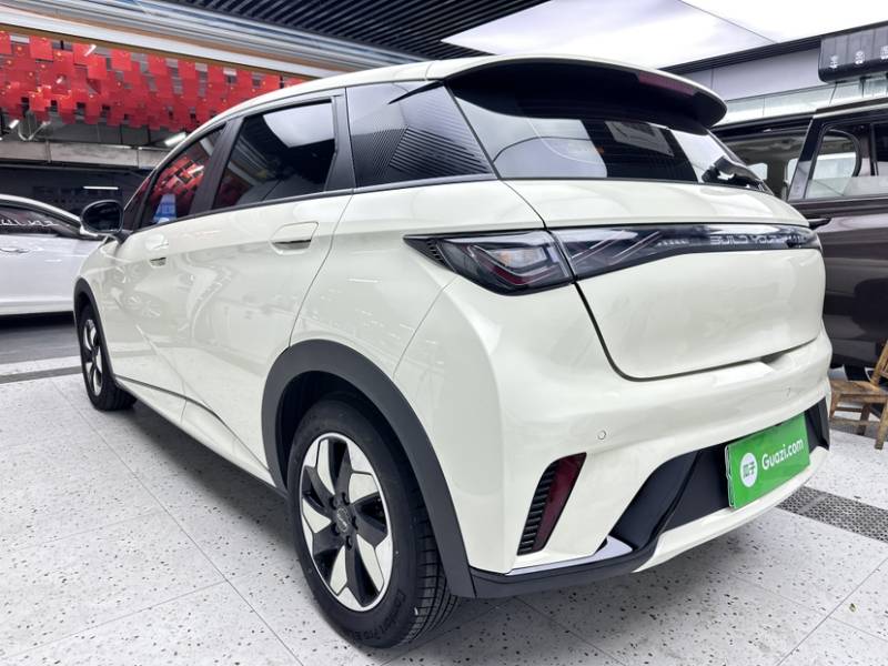 Used BYD Dolphin 2025 420km Free Edition — 30