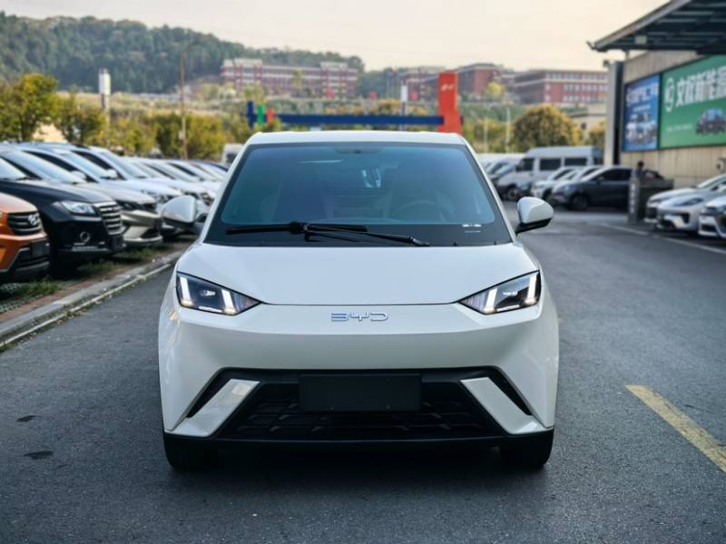 Used BYD Seagull 2023 Free Edition — 28