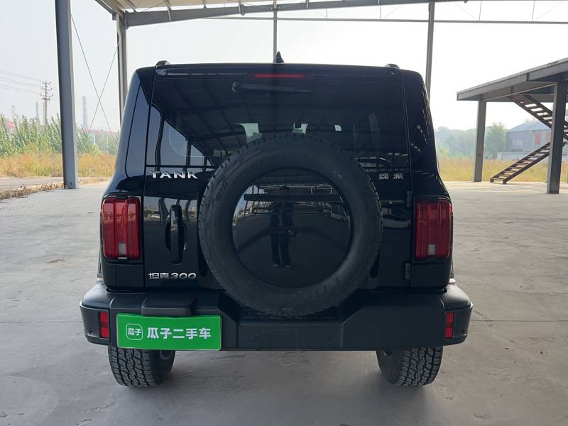Used Tank 300 2023 City Edition 2.0T—Stylish as Ever — 7