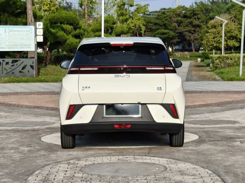 Used BYD Seagull 2025 Smart Drive Version 305 km Freedom Edition — 30