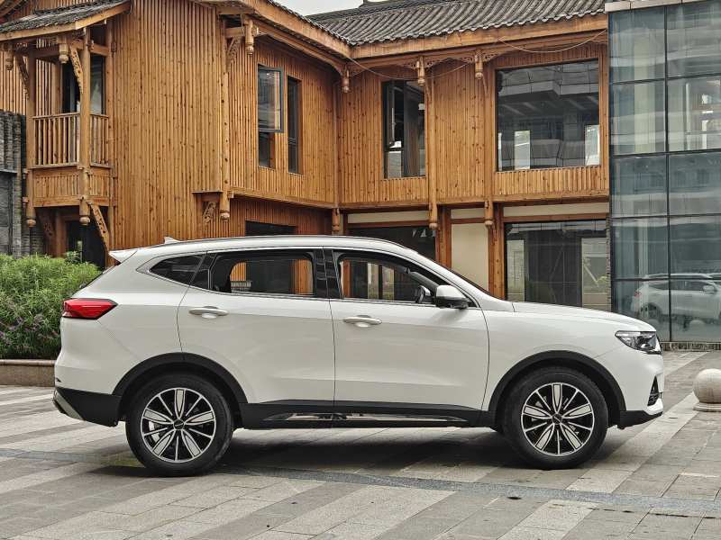 Used Haval H6 2023 National Trend Edition 1.5T Automatic Champion Version — 13