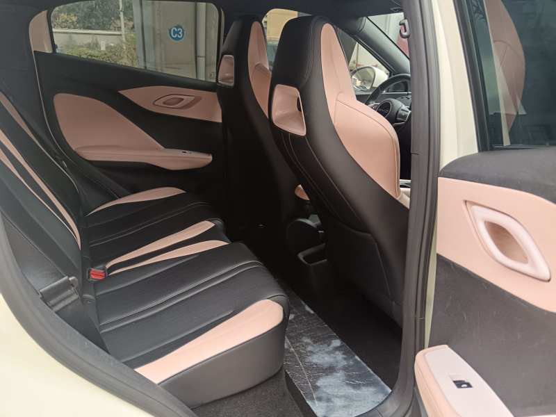 Used BYD Seagull 2023 Free Edition — 17