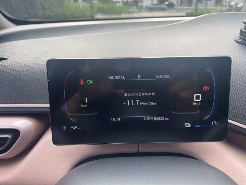 Used BYD Seagull 2023 Active Version — 2