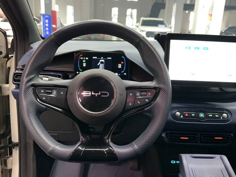 Used BYD Seagull 2025 Intelligent Driving Version 305 km Dynamic Edition — 10