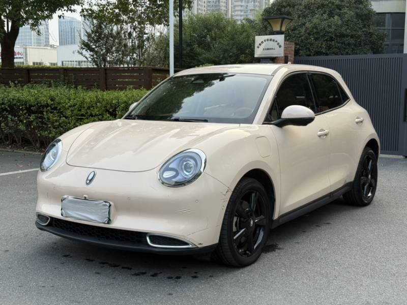 Used ORA Good Cat 2024 401 km Range Luxury Version 135 kW