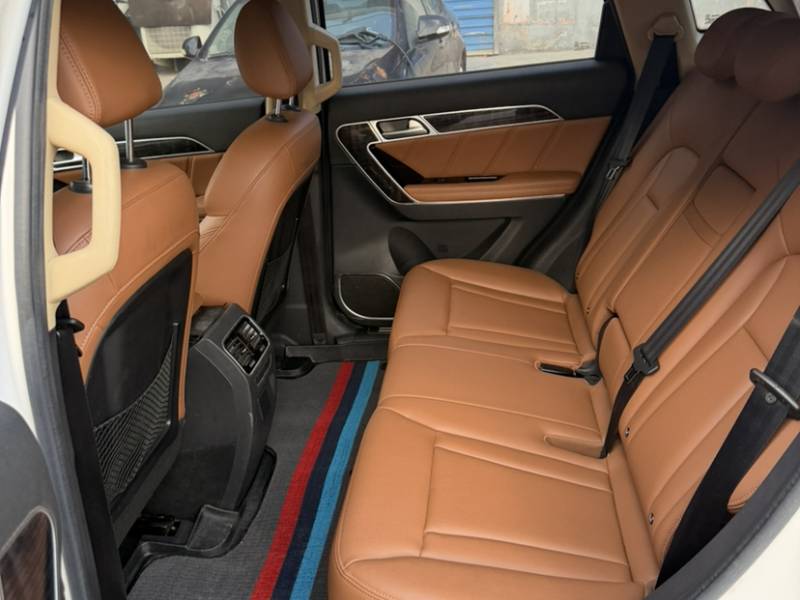 Used Haval H6 Coupe 2016 Blue Label 1.5T Automatic Two-Wheel Drive Urban Model — 24