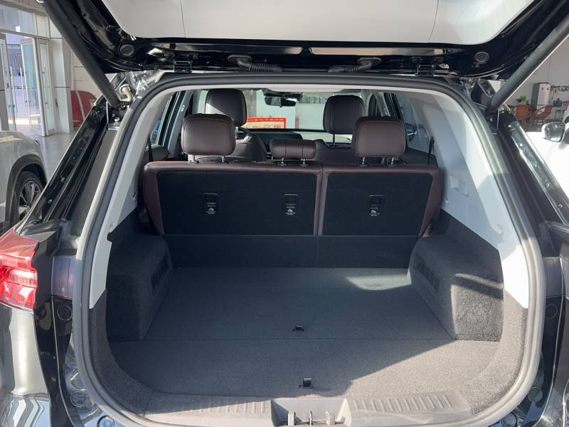 Used Chery Tiggo 8 PRO 2024 Champion Edition 290T Two-Wheel Drive Peak Version 5 Seats — 8