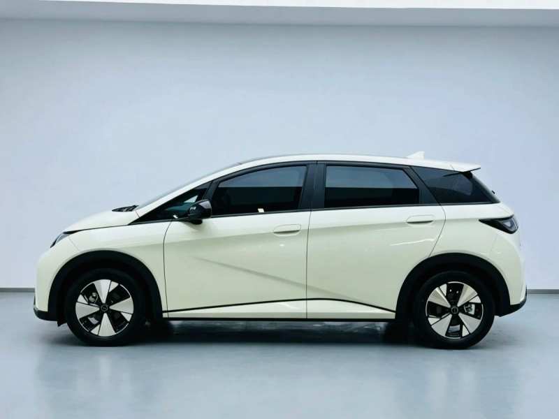Used BYD Dolphin 2023 420 km Fashion Edition — 30