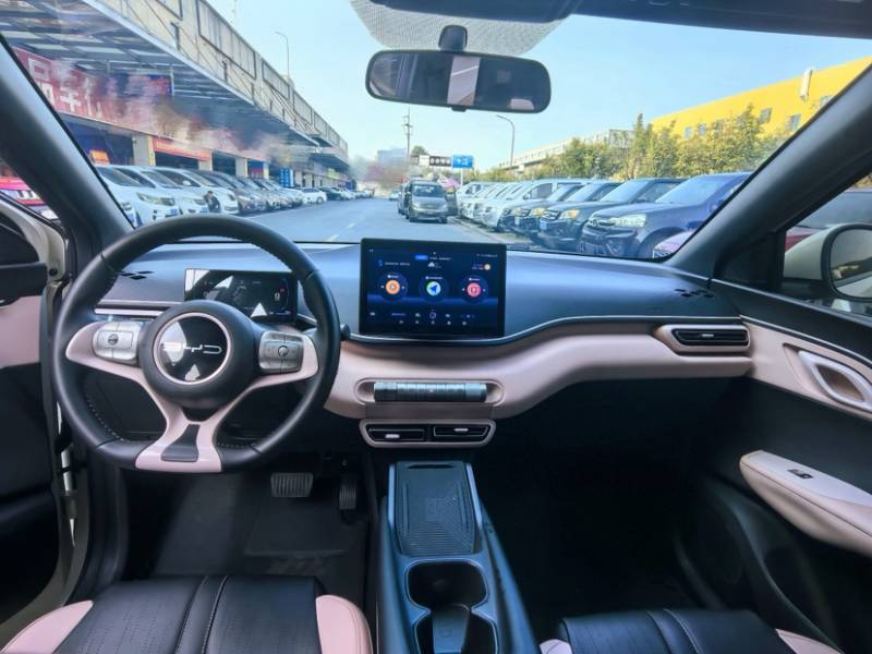 Used BYD Seagull 2023 Free Edition — 33