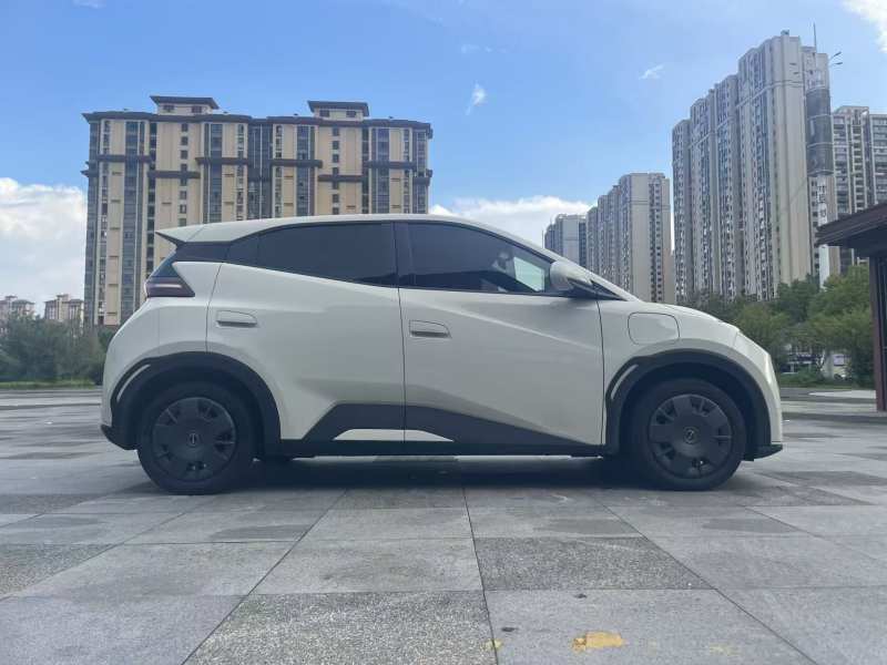 Used BYD Seagull 2023 Active Version — 10