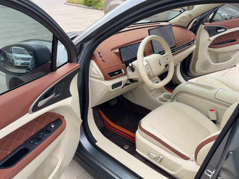 Used ORA Good Cat 2025 Model, 430 km Prestige Version — 16