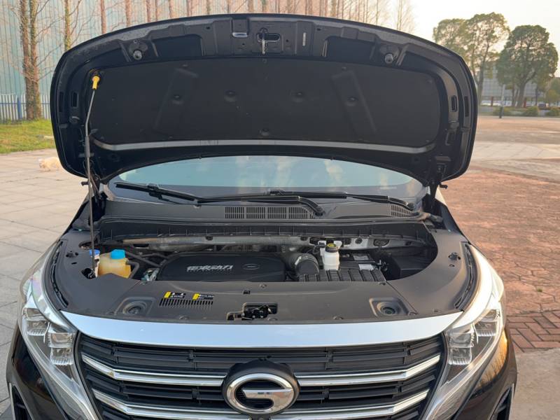 Used GAC Trumpchi M8 2021 Revised Version Lingxiu Series 390T Luxury Edition — 9