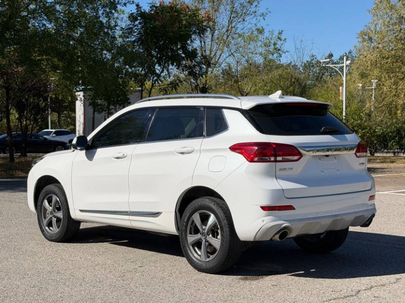 Used Haval H6 Coupe 2019 1.5T Automatic Two-Wheel Drive Luxury Smart Connectivity Version China VI Standard — 30