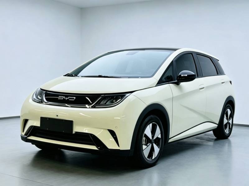 Used BYD Dolphin 2023 420 km Fashion Edition — 1