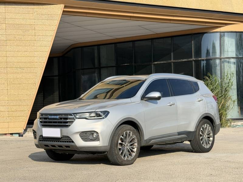 Used Haval H6 2017 Blue Label 2.0T Automatic Two-Wheel Drive Leading Model
