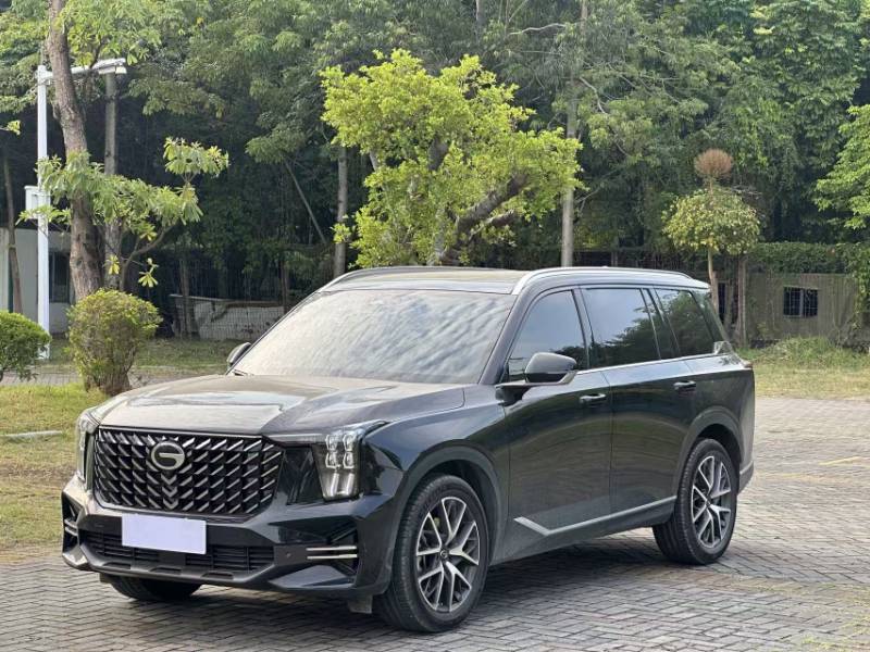 Used GAC Trumpchi GS8 2025 Linghang Series 2.0 TGDI Two-Wheel-Drive Luxury Edition 5 Seats — 1