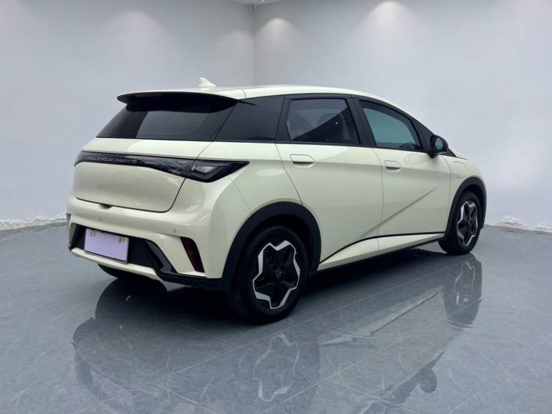 Used BYD Dolphin 2021 405 km Free Version — 34