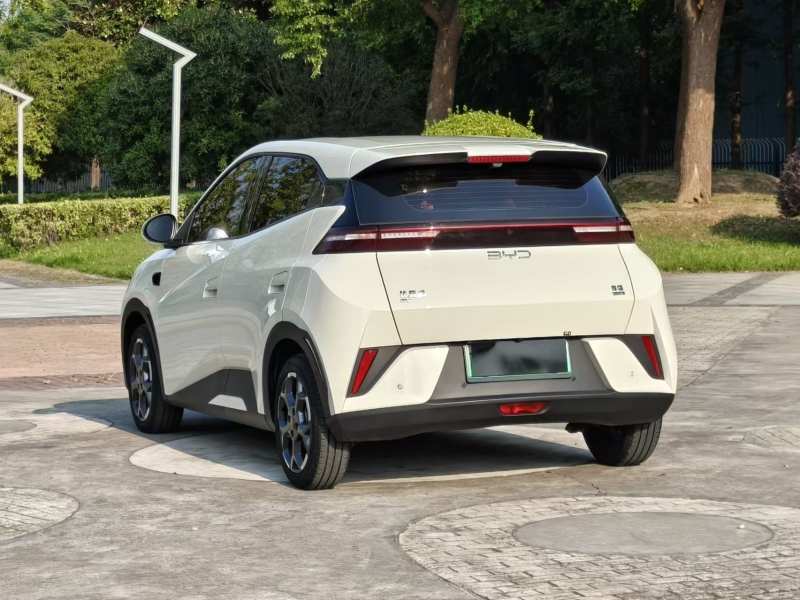 Used BYD Seagull 2025 Smart Drive Version 305 km Freedom Edition — 29