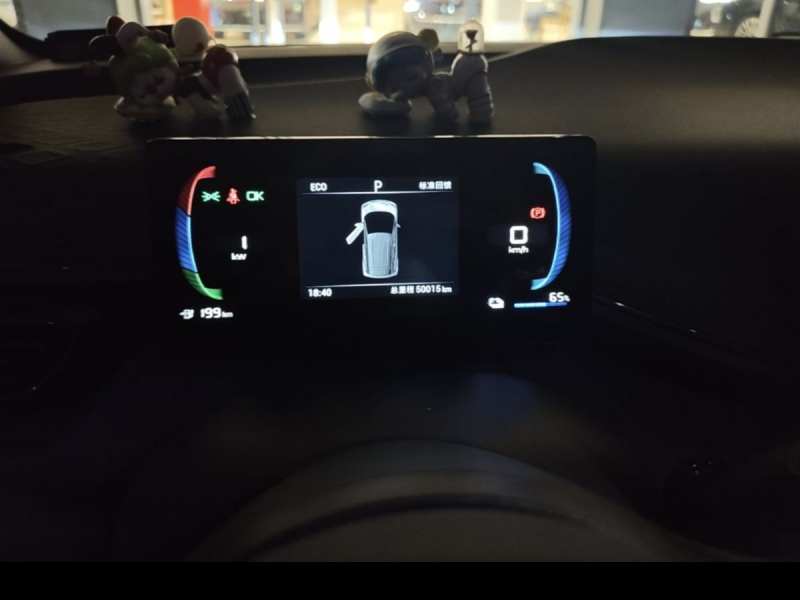 Used BYD Seagull 2023 Free Edition — 18
