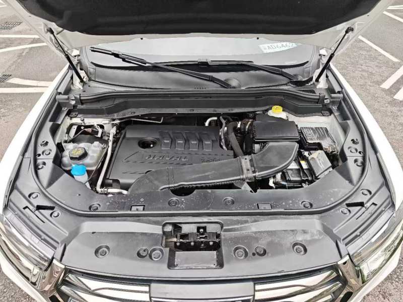 Used Haval H6 2021 National Trend Edition 1.5T Automatic Champion Version — 36