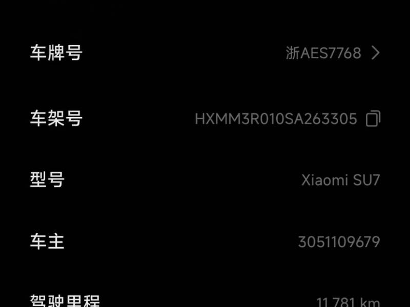 Used Xiaomi Auto SU7 2024 Rear-Drive Long-Range Intelligent Driving Version — 2