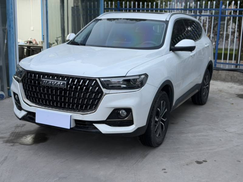 Used Haval H6 2023 National Trend Edition 1.5T Automatic Urban Version