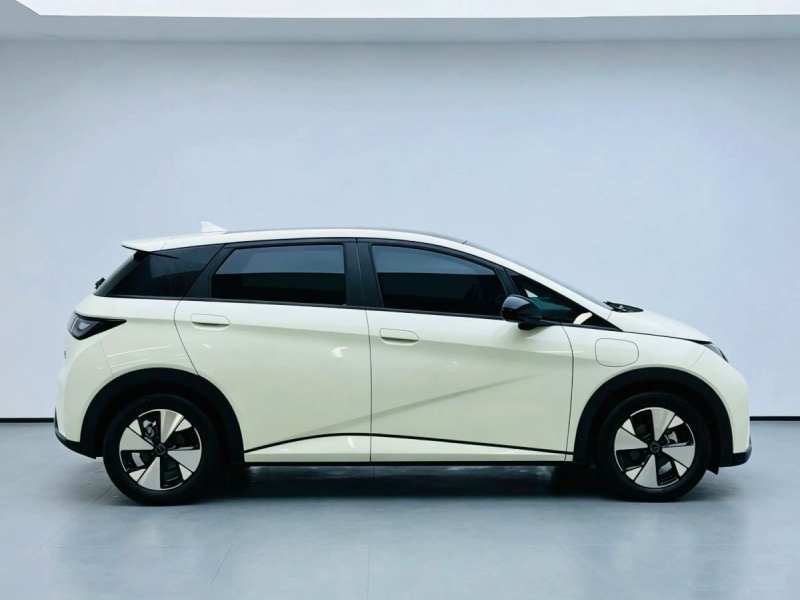 Used BYD Dolphin 2023 420 km Fashion Edition — 34