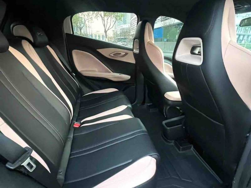 Used BYD Seagull 2024 Honor Edition 305km Dynamic Version — 41
