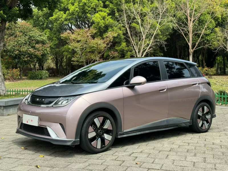 Used BYD Dolphin 2021 401km Knight Edition — 29