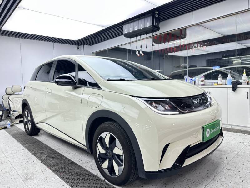 Used BYD Dolphin 2025 420km Free Edition — 29