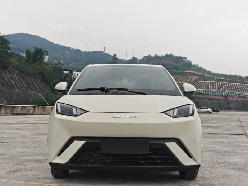 Used BYD Seagull 2024 Honor Edition 305km Dynamic Version — 29