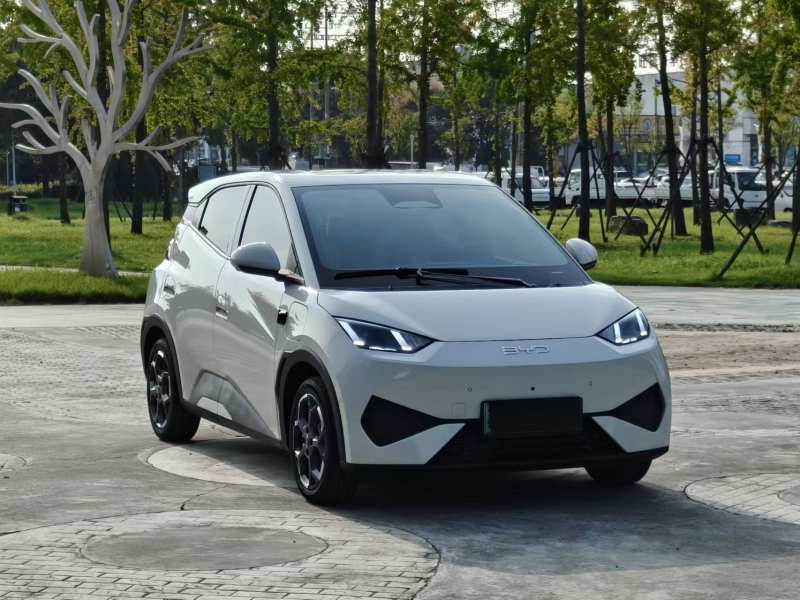Used BYD Seagull 2025 Smart Drive Version 305 km Freedom Edition — 28