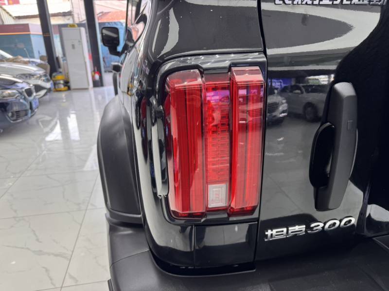 Used Tank 300 2024 2.0T Conqueror — 28