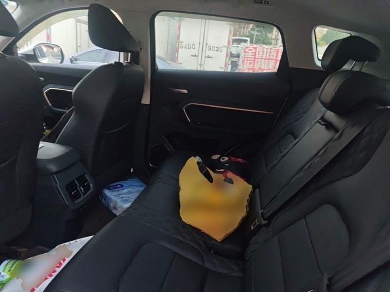 Used Haval H6 2020 1.5 GDIT Automatic Platinum Champion Edition — 13