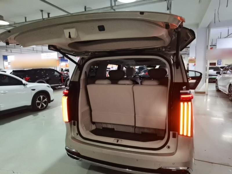 Used Wey Gaoshan 2023 Four-Wheel Drive Flagship Edition — 18