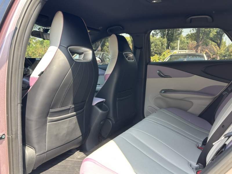 Used BYD Dolphin 2024 Honor Edition 420km Freedom Version — 12