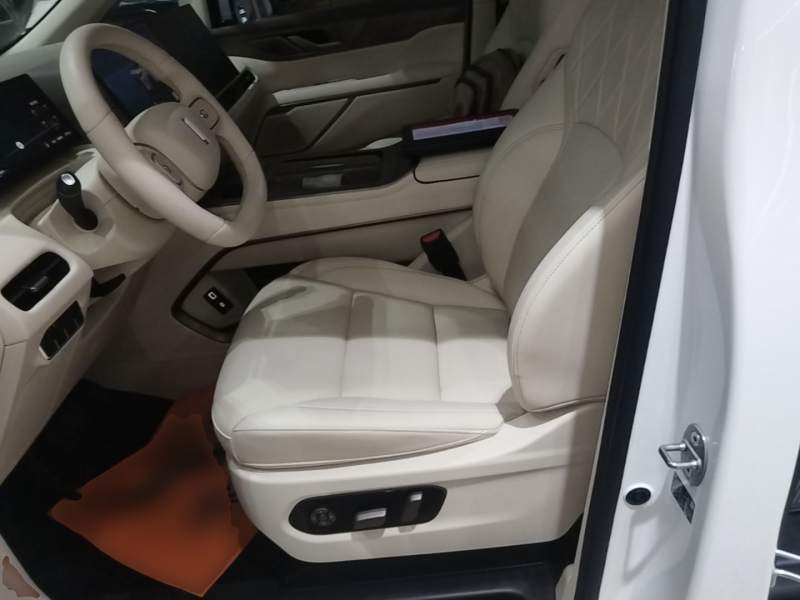 Used Wey Gaoshan 2025 Four-Wheel Drive Alpine 8 — 14