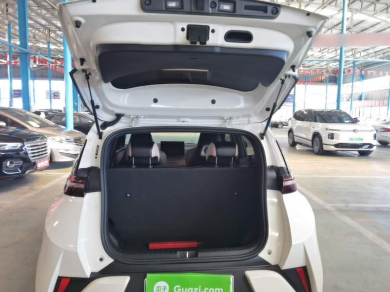 Used BYD Seagull 2025 405 km Flying Edition — 18