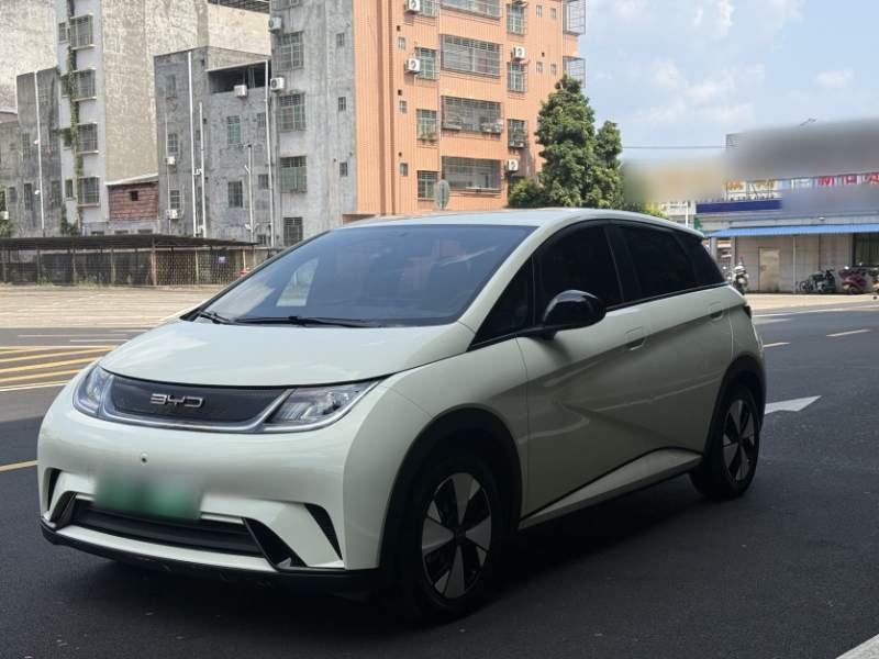 Used BYD Dolphin 2023 420 km Fashion Edition