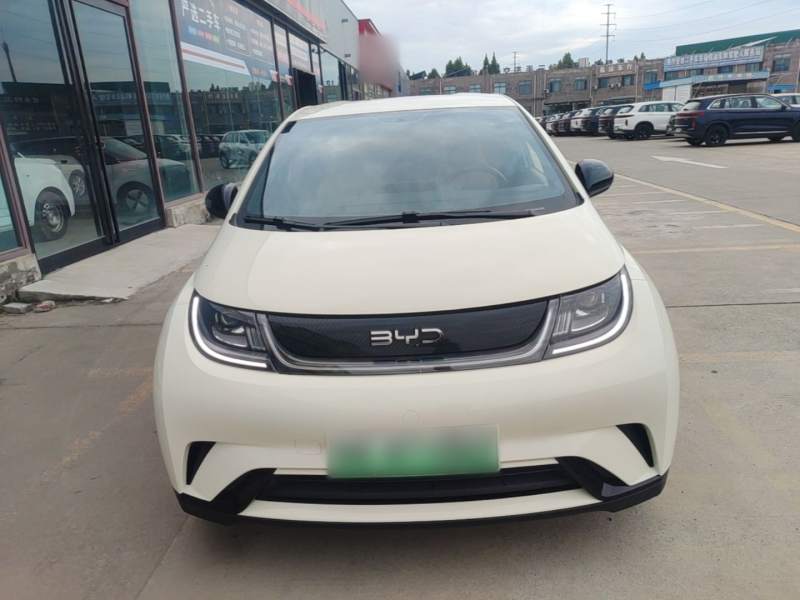 Used BYD Dolphin 2024 Honor Edition 302km Dynamic Version — 2