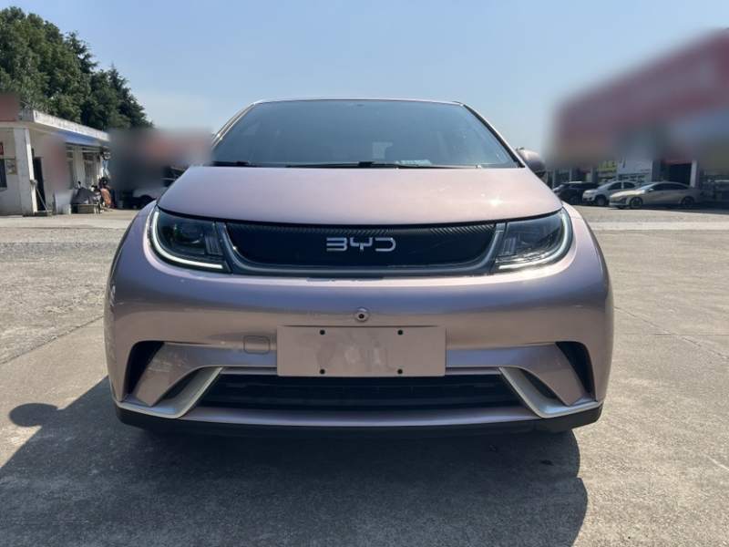 Used BYD Dolphin 2024 Honor Edition 420km Freedom Version — 9