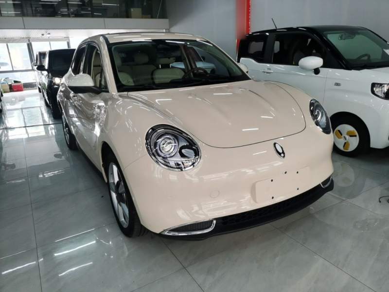 Used ORA Good Cat 2021 400km Standard Range Venus Edition Lithium-Ion Battery — 3