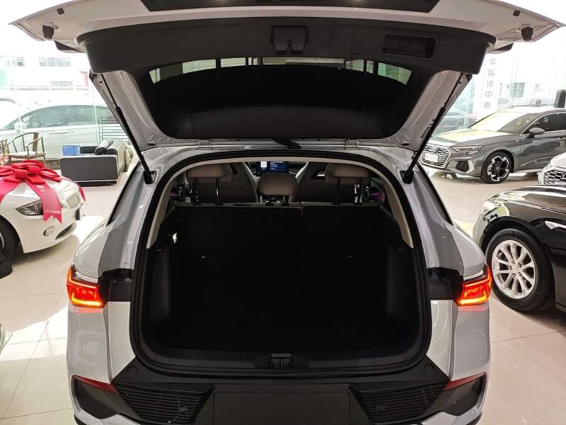 Used BYD Yuan PLUS 2023 Champion Edition 510KM Superior Model — 18