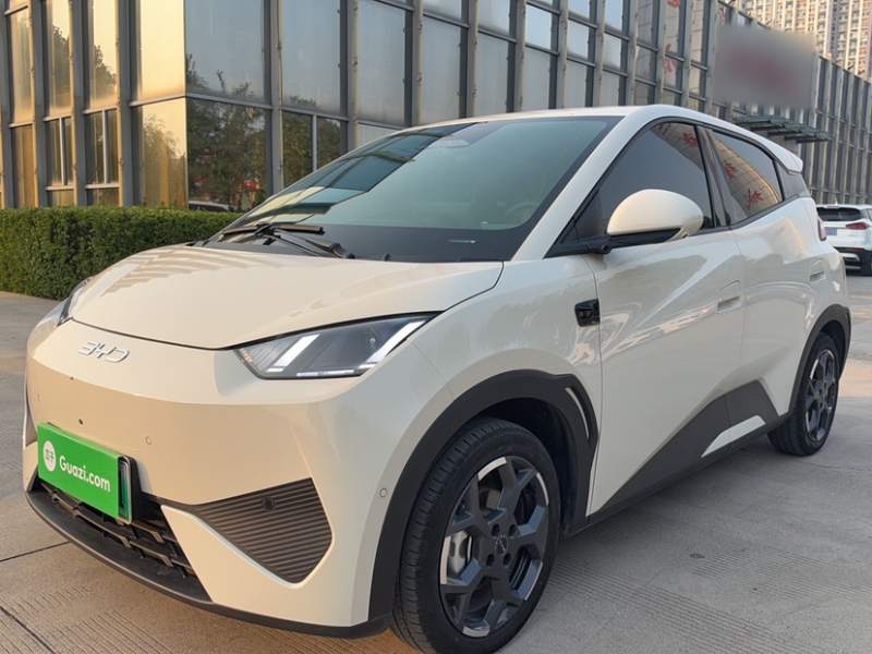 Used BYD Seagull 2025 Smart Drive Version 305 km Freedom Edition