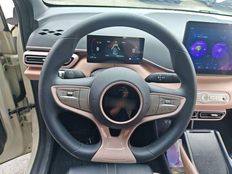 Used BYD Seagull 2025 Intelligent Driving Version 305 km Dynamic Edition — 10