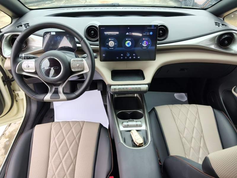 Used BYD Dolphin 2021 405 km Fashion Edition — 9