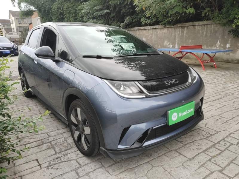 Used BYD Dolphin 2025 520km Range Knight Edition — 3