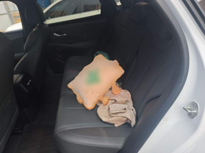 Used BYD Qin PLUS 2025 DM-i Smart Drive 55KM Leading Model — 18