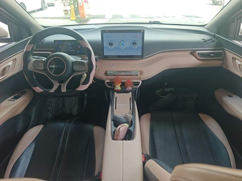 Used BYD Seagull 2023 Active Version — 9