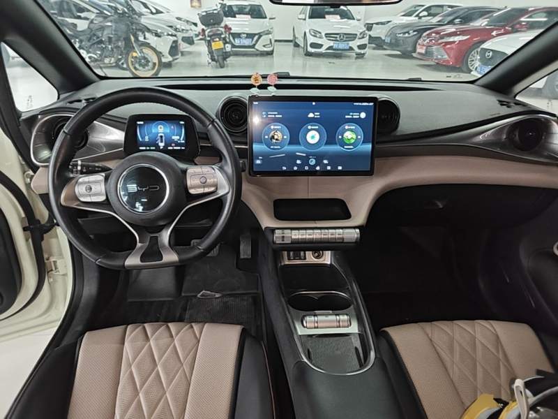 Used BYD Dolphin 2021 405 km Fashion Edition — 9